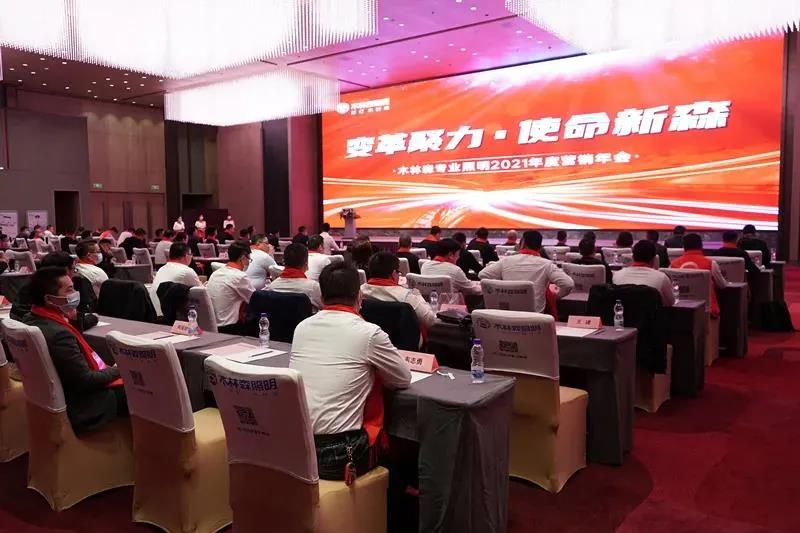 定了！木林森专业照明2021将这样干！